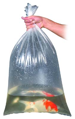 FISH TRANSPORT BAGS:  16" x 24" (Qty. 100)
